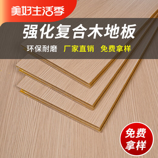 XMSJ强化复合木地板家用卧室12mm家装防水耐磨金刚板厂家直销  1 17081