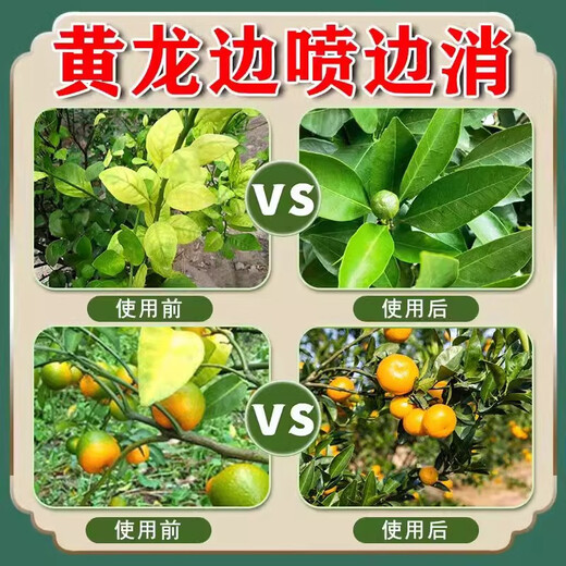 黄化一撒清果树柑橘桔黄龙病专用药农花扫杀青菌撒施颗粒肥料 1袋【体验装】