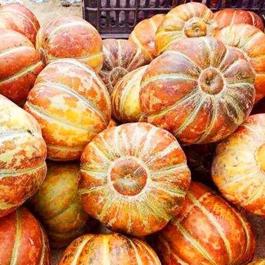 Shouhe Green Skin Melon Seeds Large Whole Melon Red Skin Melon Seeds 100 capsules x 2 Cost-effective