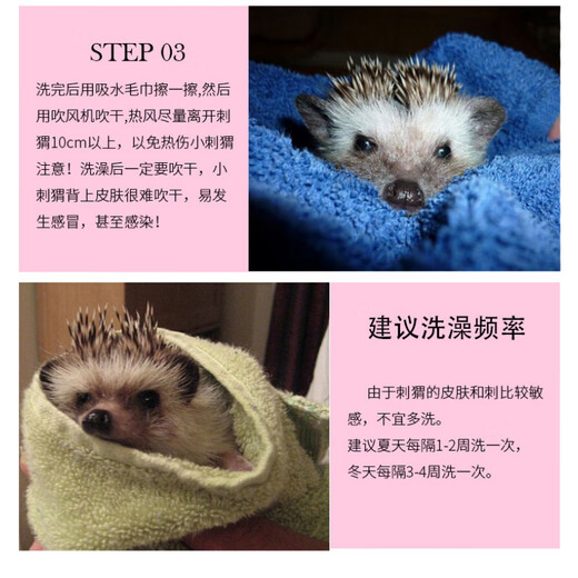 OIMG African Mini Hedgehog Bath Brush, Soft Brush, Rabbit Guinea Pig Brush, Hedgehog Supplies Small Brush, Random Colors