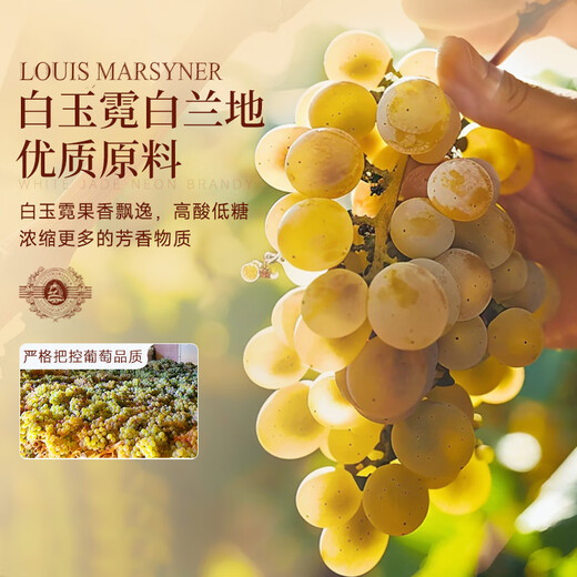 Louis Marsyney (Louis Marsyney) French imported wine XO40 spirits winning brandy gift box (original wine imported) gift wine 700mL 1 bottle