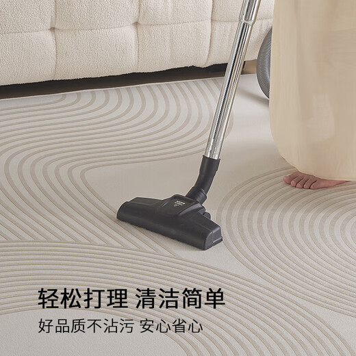 布迪思地毯卧室大面积满铺家用客厅毯沙发茶几轻奢防滑毯简约可定制地毯 现代6210【加厚圈绒】 定制【联系客服】