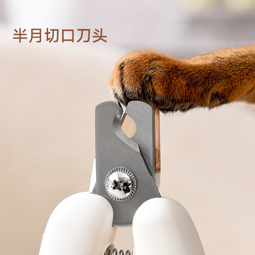 PET S JOURNEY Traced LED Light Cat Nail Scissors for Pets Special Dog Nail Clippers with Nail Clippers to Grind Nails and Prevent Cut Bleeding