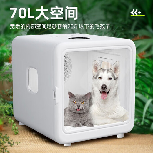 Chongzhidi Caja de secado para mascotas Máquina de baño y secado para gatos Artefacto de secado por soplado para perros silencioso para el hogar Universal para perros pequeños y medianos Modelo exclusivo de 70 L Escape de aire de seis lados + Apertura automática de puerta + Más funciones de modo