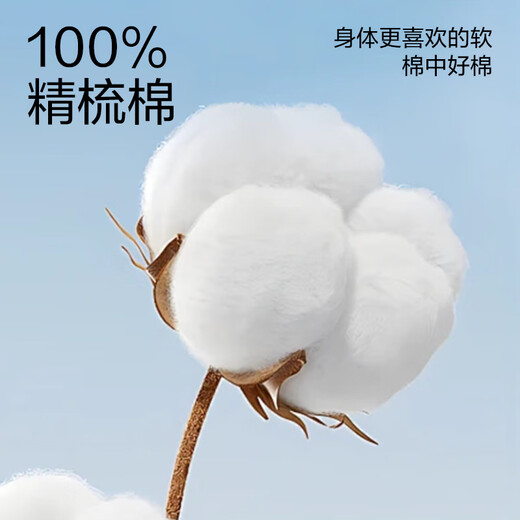 网易严选25春夏100%精梳棉纯棉牛津纺男士衬衫挺括不易皱白 浅蓝色 XL