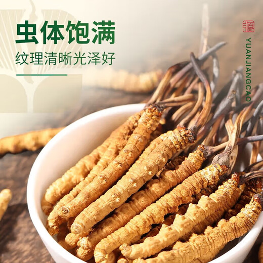 源江草冬虫夏草 新干虫草滋补品送父母长辈滋高端礼盒 3根/g 15克【滋补量装】