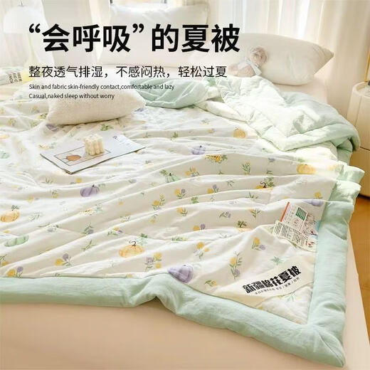 Summer Cool Quilt Class A Smase y Double Summer Infant y Child Air acondicionador es Dinosaurio de estilo delgado y de otoño de estilo de otoño.