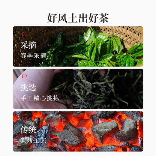 中岭凤凰单枞品鉴装鸭屎香蜜兰香乌龙新茶潮州6款组合试饮集48g