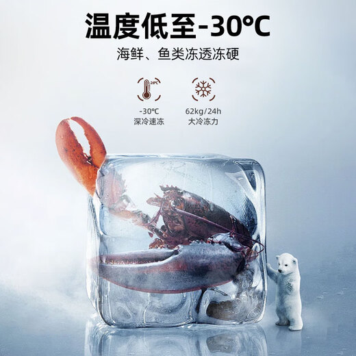星星（XINGX） 716升 单温大冰柜 卧式双门顶开门 单箱变温冷柜 冷藏冷冻转换柜 BD/BC-716E国家补贴