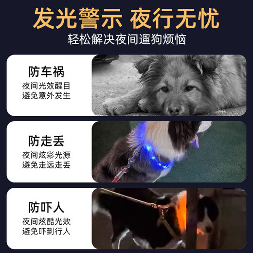 Luhid dog collar, luminous dog leash, multiple luminous colors, adjustable size, anti-lost rechargeable model for walking the dog at night