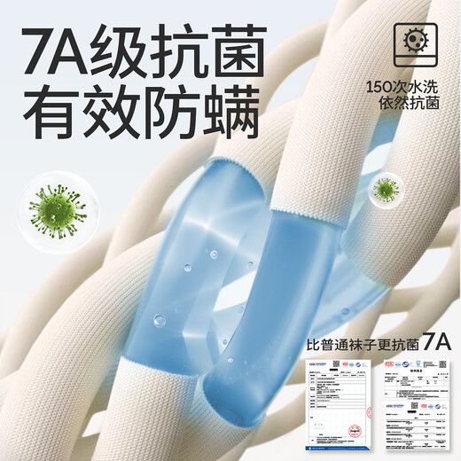 Babybabysocken für Männer und Frauen im Sommer Dünne mittelgroße Röhrchen Frühling und Herbst reines Baumwoll Typ A Mesh Knochenlosen Neugeborenen Socken Dinosaurierauto Sommer Mesh-100% reines Baumwoll 5 Paare 2-3 Jahre alt für Fußlänge 14-16cm Schuh Größe 21-24