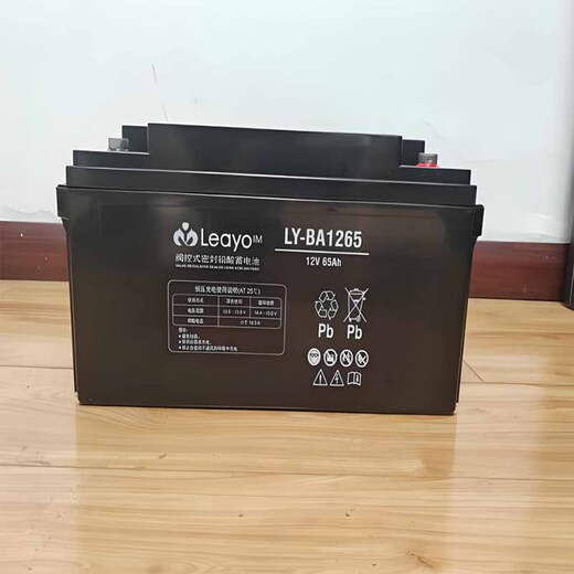 Батарея Leayo Battery Ly-BA12100 Огненные хост Ипп/EPS DC Screen Server Серверный обслуживание кислоты бесплатно LY-BA12250Z-12V250AH