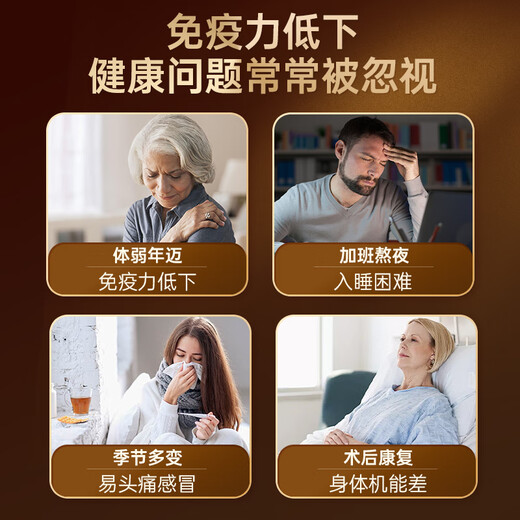 Tongrentang Ganoderma Lucidum Spore Powder, esporas en polvo, polvo de esporas que rompe la pared, mejora de la inmunidad, caja de regalo para pacientes visitantes para adultos, personas de mediana edad y ancianos, paquete de 30 días [60 bolsas*1G]