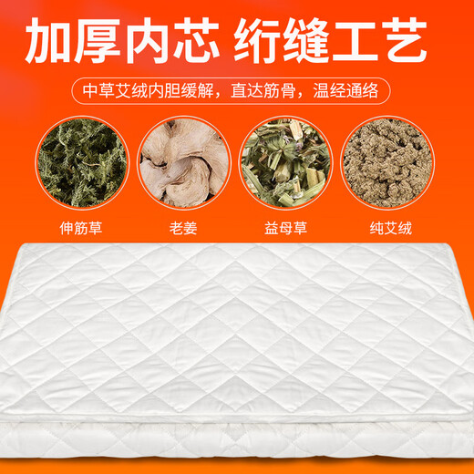 Xiaomi Buyi Trendy Life Appliances Mugwort Electric Blanket Small Size Household Single Moxibustion Sofa Special Cushion Electric Mattress Beauty Salon Electric Heating Shawl Green + Pillow (Smart Digital Display) 150x60cm