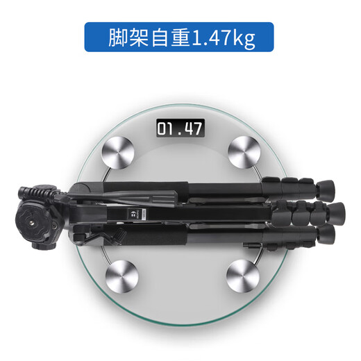 Benro T880 SLR Camera Trípode Fotografía Portable Selfie Douyin Video en vivo Micro Single Canon Nikon Photo Recording Outdoor Anchor Desktop Beauty Light T691