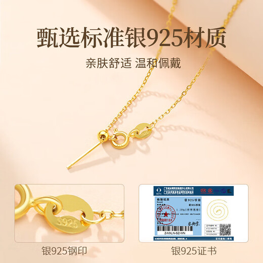 Zhenshangyin Chine Gold Collier en argent autorisé Collier de chaîne universelle féminine Pin Gold Colored Chain Chain Birthday Gift For Girlfriend