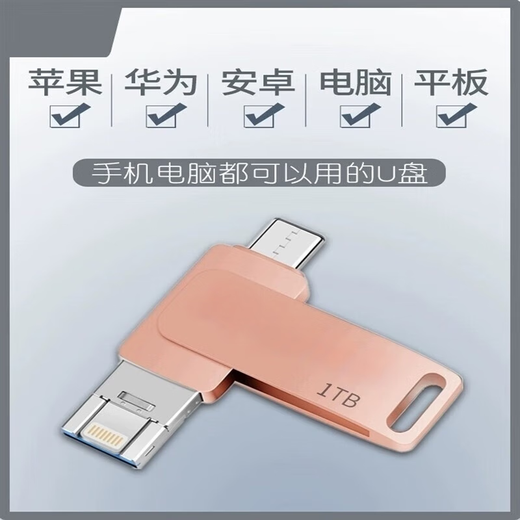 Xiaomi Mobiltelefon USB-Flash-Laufwerk große Kapazität 1 TB Mobiltelefon USB-Flash-Laufwerk 1T Computer Typ-cvivo512g USB-Flash-Laufwerk Roségold 256G Standardversion 1