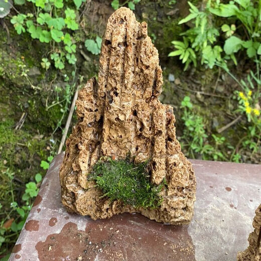 Water-absorbing stone bonsai rockery natural water-absorbing stone water-absorbing stone bonsai rockery bonsai strange stone original stone micro landscape construction height 20 cm does not include the pot with stones and moss