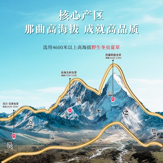Zhaoying Peak [wild] Cordyceps sinensis, die neue getrocknete Cordyceps in der ersten Stufe in Nagqu, Tibet. Geben Sie den Eltern eine tonische Geschenkbox 2 Wild 2 Stücke/Gramm 5 Gramm 10 Stücke [tibetische Geschenkbox]
