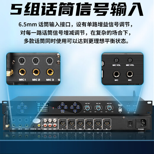 Depusheng digital KTV pre-amp effector, home karaoke stage, commercial conference, Bluetooth fiber optic coaxial balanced U disk anti-howling, karaoke audio processor with remote control KA2 KA2