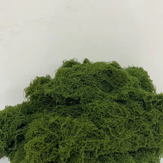 Simulated filamentous moss green micro landscape layout fake lawn fish tank landscaping rockery stone bonsai landscaping pavement dark yellow green 30g free 25g