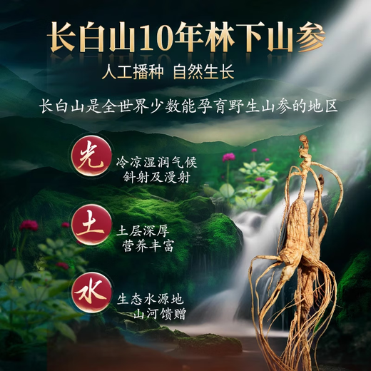 Jinpai 38 degrés Boîte cadeau à vin ginseng Collection de cadeaux haut de gamme et cadeau de vacances à vin Gift 38 degré 50 ml 1 bouteille Jinpai Ginseng Wine Experience Package
