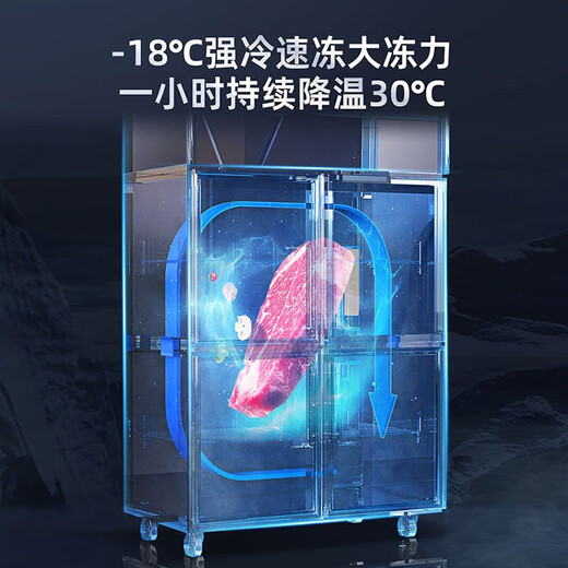 星星（XINGX）四门冰箱商用 -18度全铜管立式冰柜厨房大容量饭店酒店双温冷藏冷冻保鲜柜 铜管-18度1479升冷冻KD-1871G6