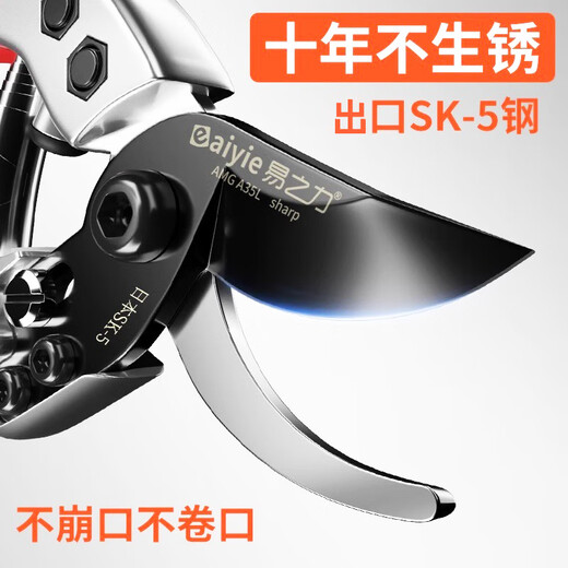 JCZS Japanese original scissors pruning shears gardening scissors sk5 special scissors for pruning flowers and branches fruit tree thick branch scissors SK5 steel maintenance oil set
