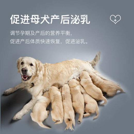 Beite Twin Female Dog Pregnancy Nutrition Product Female Dog Yulianlian Female Dog Pregnancy Assistance Female Dog Pet Special Nutritional Premix Yulianlian 1 barrel