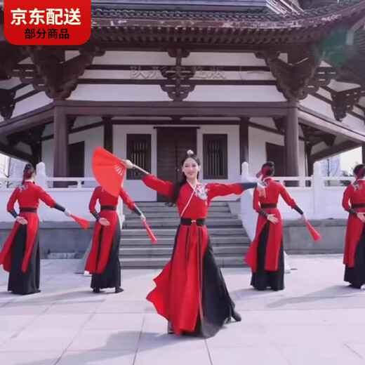 CARLOS KAYLA Snow Dragon Song Classical Dance Performance Costume Tai Chi Sword Practice Suit Drum Suit Men's and Women's Martial Arts Style Hanfu Women Separate Outerwear + Hairband + Wrist + Waistband XXS