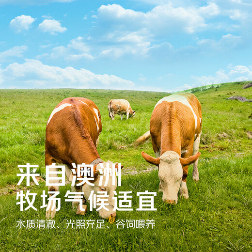 鲜京采【冰鲜牛肉】澳洲谷饲牛腱子2斤 原切生鲜鲜肉 京东自有品牌