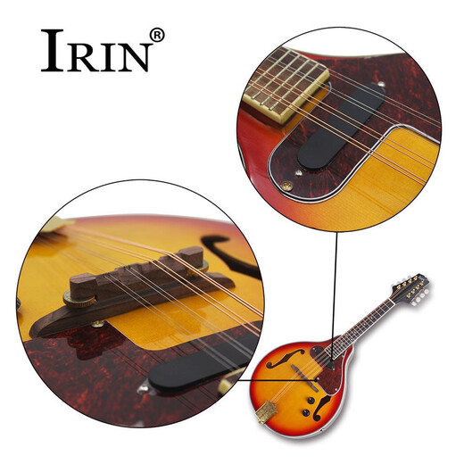 Otras marcas de instrumentos de cuerda occidental, piano de guitarra de mandolina de la mandolina acústica eléctrica, instrumentos étnicos, mandolina tibetana, bolsa de mandolina
