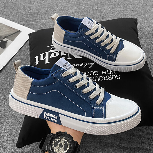 Zapatos de lienzo de changxiang huili zapatos para hombres deportes de primavera y zapatos casuales de skate trabaja y trabajan zapatos casuales zapatos de gran tamaño azul 39