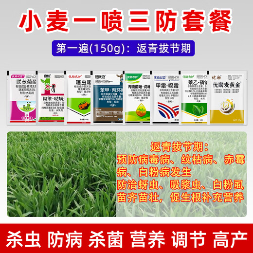 One-spray three-prevention high-yield package for wheat to increase yield, foliar fertilizer, aphid rust, scab, powdery mildew special pesticide, bagged, 8 packets of medicine for the first pass (150g)
