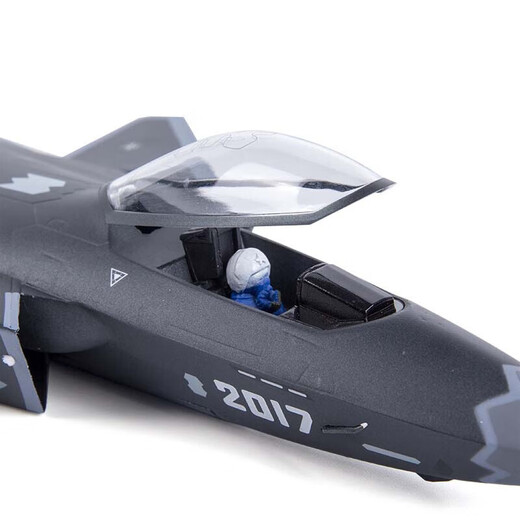未止 歼20飞机模型合金军事模型科普展览摆件退役纪念品1:48黑色 WZHL-15939