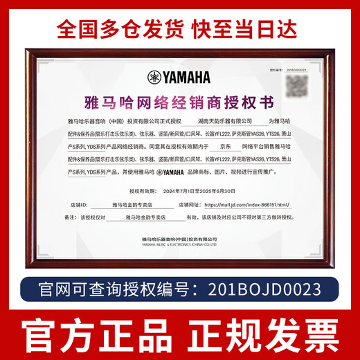 雅马哈（YAMAHA）口风琴P37D专业37键小学生初学儿童教学成人专业演奏32键口吹琴 37键红色P-37ERD