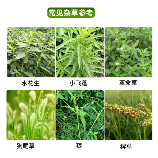 Yongnong Bilida 20% dichloride block fast herbicide kills cowgrass weeds orchard root rot and eradicates weeds 1000g