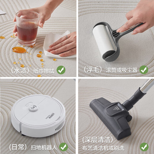 布迪思地毯卧室大面积满铺家用客厅毯沙发茶几轻奢防滑毯简约可定制地毯 现代6210【加厚圈绒】 定制【联系客服】
