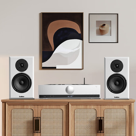 
Trasam Quanxiang D100 Introduction Analysis Set Combination Multifunctional Amplifier 6.5-inch Customized Speaker Unit High-Fidelity Passive Bookshelf Speaker Quanxiang D100 Set Manufacturer Direct Sale