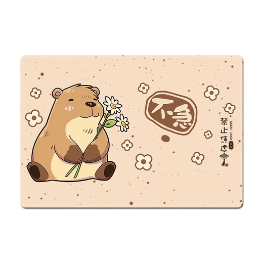 PAD MONDE CAT TROISSEMENTS (SFMCEMQ) PAUT STALL OFFICE BUREAU PAD POUR HOMMES ET FEMMES PADE D'APPRENTISSAGE DE LOCK TEPLES