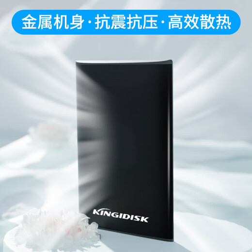 Black Beetle mobile Hochgeschwindigkeitsfestplatte USB3.0-Schnellübertragung unterstützt Mobiltelefonsicherheit, verschlüsselbares Backup, personalisierte Anpassung, kompakt und tragbar, High-End-Metall (Mitternachtsschwarz) + Hartschalentasche 500 GB