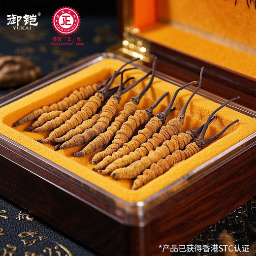 Imperial Cordyceps Выбранная подарочная коробка для родителей и подарков старейшин для кипения и здоровья Cordyceps подарочная коробка Cordyceps 10 г/коробка [около 20 штук]
