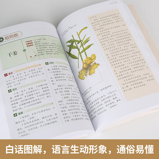 【正版】中医推拿按摩书 全2册 图解经络穴位+对症按摩大百科彩图版 零基础学会推拿按摩书籍手法 图解：神农本草经