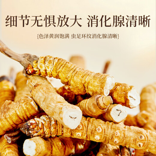 Purple and blue flowers sea of insects, Cordyceps sinensis 5g (8-11 roots) selected quality Cordyceps nourishing [Health gift box]