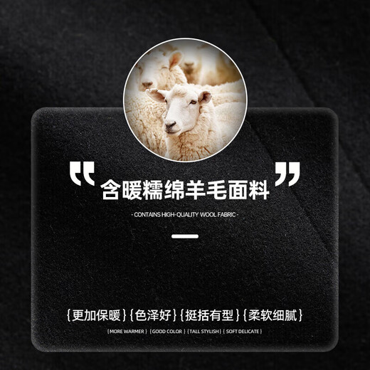 SHANSHAN Shanshan suit men's autumn and winter wool blended business professional single suit thickened warm top men's commuter jacket black 2XL 185