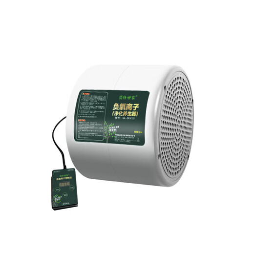 Jianshijia Negative Ion Generator Home Office Small Particle Size Negative Oxygen Ion Machine Air Purifier Ecological Grade Health Care Instrument Ruyao White 500 Million Negative Ion 40 Gold Needle Emitting Head (Send Test Pen)