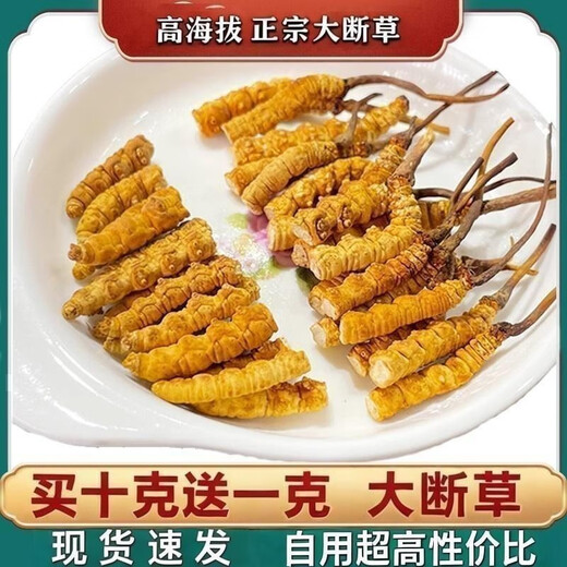 西那藏曲高海拔断冬虫夏草虫草断草大瓶装高海拔自用正宗家庭装 西藏那曲断草100克装送10发110克