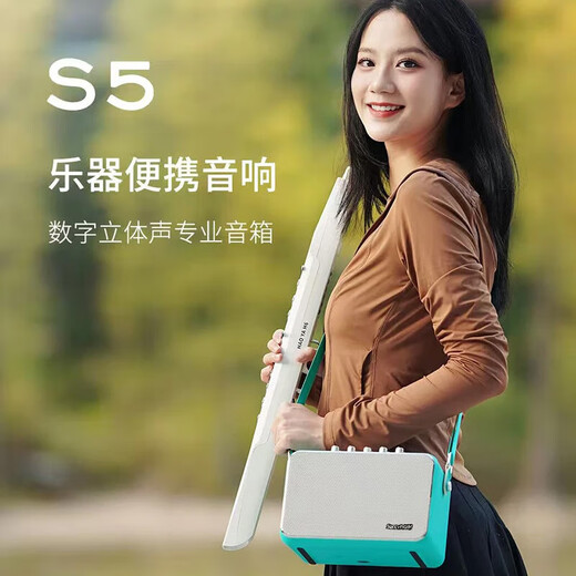 Shanghao Shanghao S5 kleiner Lautsprecher, Hair Tube Special Tragbarer Lautsprecher Saxophon Outdoor Live Performance Bluetooth -Lautsprecher S5 Klassischer Schwarz + Ruifu W70 Transceiver