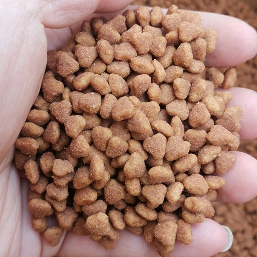 Elephant Dog Food Puppy Milk Cake Adult Dog Food 1 Jin Jin equals 0.5 kg 3 Jin Jin equals 0.5 kg 20 Jin Jin equals 0.5 kg 40 Jin Jin equals 0.5 kg Teddy Golden Retriever 1 Jin Jin equals 0.5 kg Puppy Food