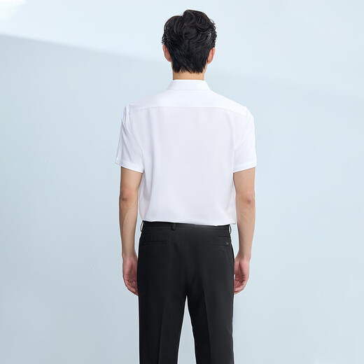 Hla Hailan Home Langarm Shirt Herren Sommer 25 Hemden und Serie Lapel Solid Color Shirt Männer
